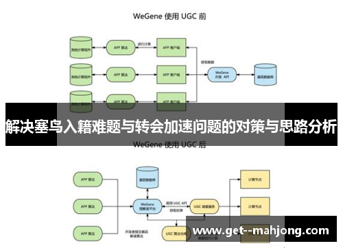 解决塞鸟入籍难题与转会加速问题的对策与思路分析