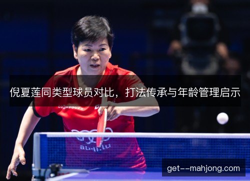 倪夏莲同类型球员对比，打法传承与年龄管理启示